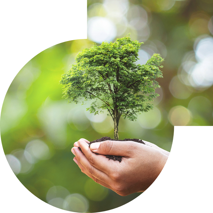 关怀人类、文化、环境与社会